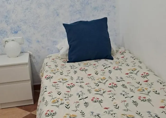 Patio Andalusi Junto A La Vina Cadix